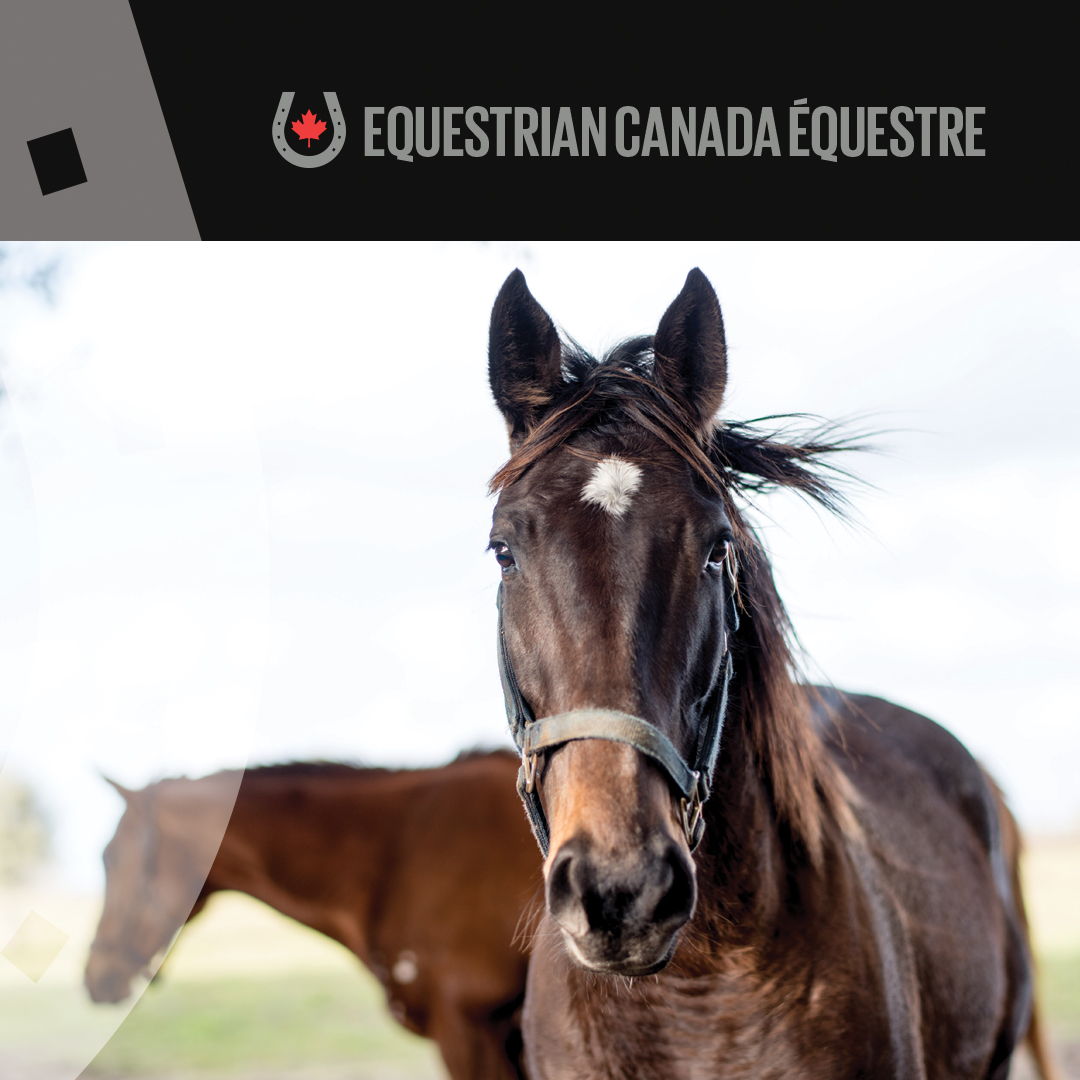 Code of Practice Factsheet